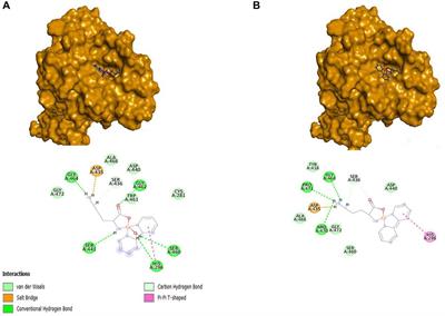 Interaction of copper potential metallodrugs with TMPRSS2: A comparative study of docking tools and its implications on COVID-19